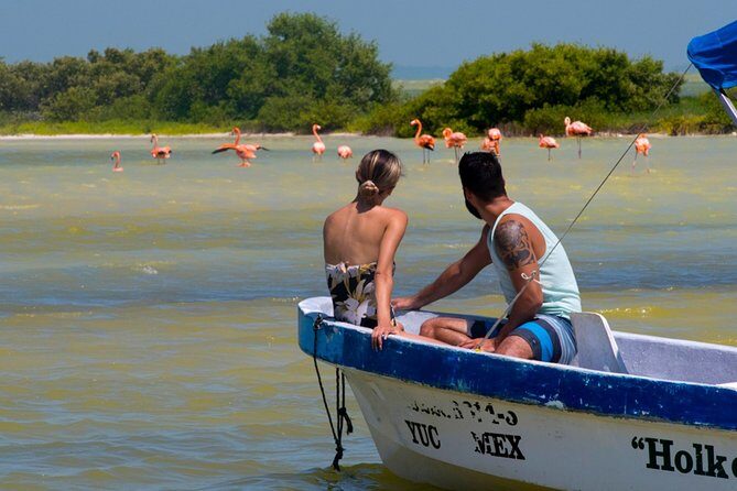 Tour to Las Coloradas Pink Waters and Boat Ride in Rio Lagartos with Lunch. - What guides bring to the experience (and what to watch for)