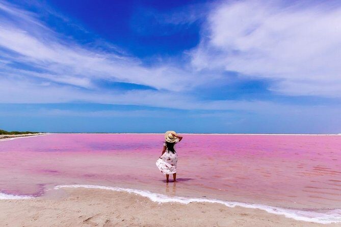 Tour to Las Coloradas Pink Waters and Boat Ride in Rio Lagartos with Lunch. - Extra costs to budget before you book