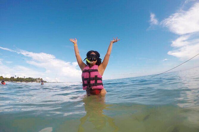 Tour to swim with turtles - Reef Life Details: Why Fish and Corals Matter Here