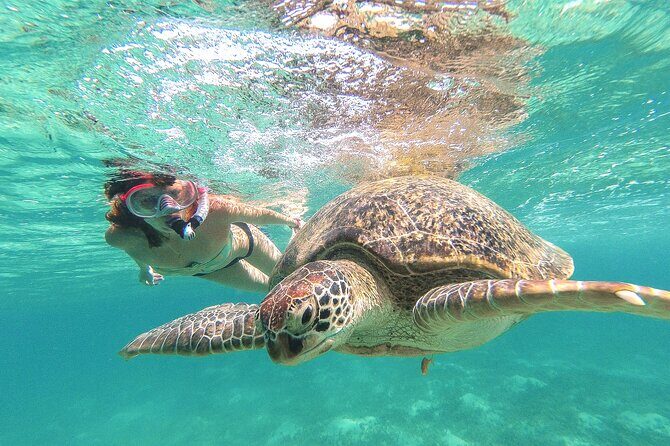 Tour to Tulum and Cenote Swimming with Turtles from Tulum - Key Things I’d Focus On Before You Go