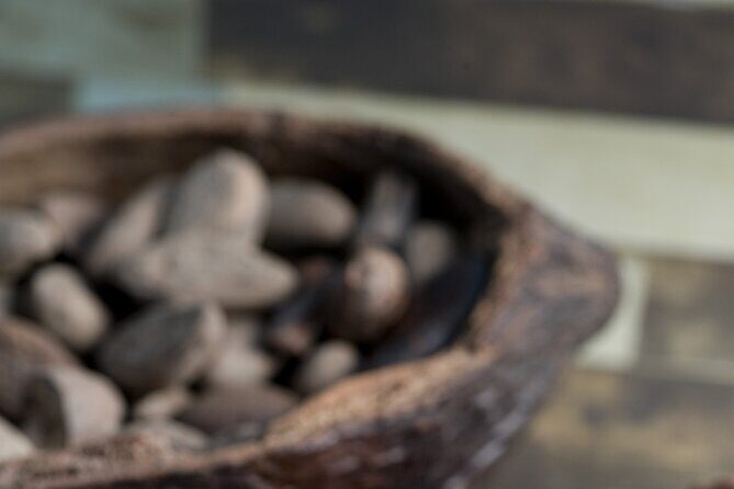Tour to Uxmal , Cenote Sambula and Chocolate Museum Story - Price and logistics: is $99 a good deal after the extra fees?