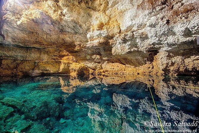 Tour Tulum Coba Cenote and Playa del Carmen (4 in 1) - Stop 3: Cho-ha cenote (with Tamcach-Ha & Choo-Ha on the ticket)