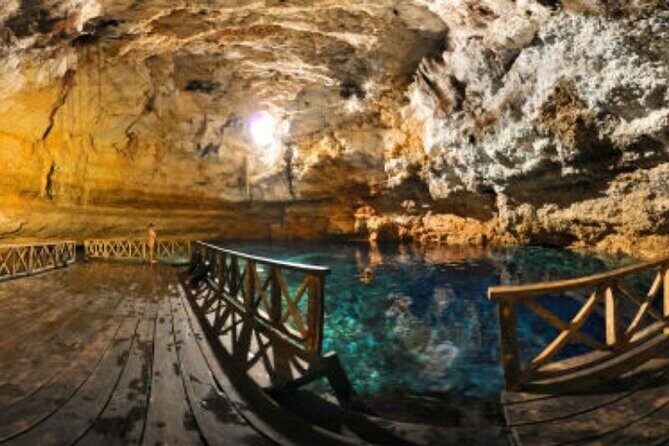 Tour Tulum Coba Cenote and Playa del Carmen (4 in 1) - Price and value: why $59 can feel like a bargain, then not
