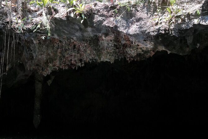 Tours On The Island Cozumel - Private Transportation and Pickup: Why It Matters on a Cruise Day