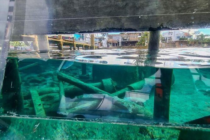 Transparent Boating and Snorkeling Tour in Cozumel All Inclusive - Who Should Book This Cozumel Transparent Boat + Snorkel