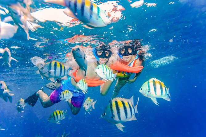 Trip to Isla Mujeres by Catamaran, with snorkeling and drinks - Isla Mujeres: 1.5 hours to roam, plus a private Beach Club buffet