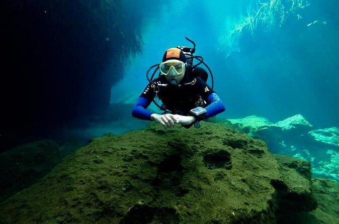 Try dive in beautiful Casa cenote for 2 people - Price and value: $190 per person for private coaching in a shallow cenote