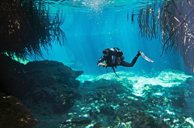 Try dive in beautiful Casa cenote for 2 people - Who this suits best, and when to consider another option