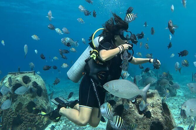 Try diving without previous experience from shore - A Shore-Start Scuba Lesson in Cozumel’s Cousteau World