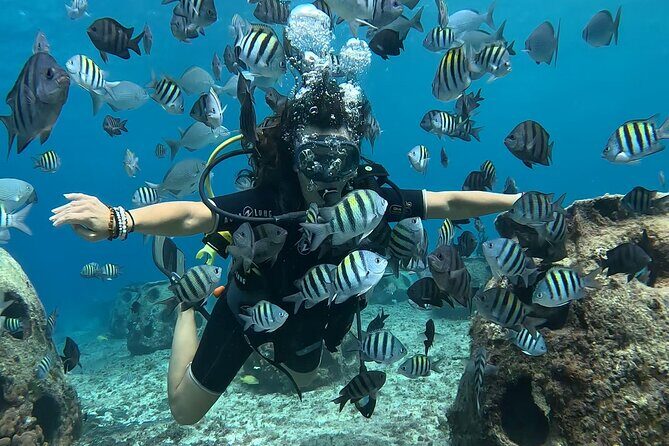 Try diving without previous experience from shore - What to Bring (and What Not to Overthink)