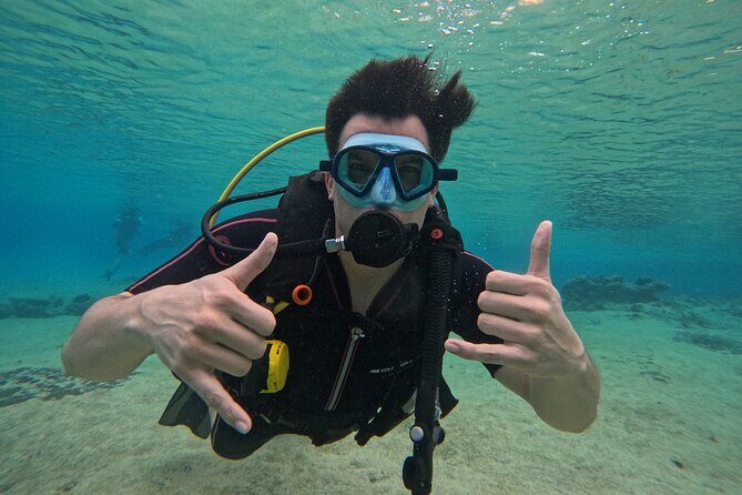 Try diving without previous experience from shore - What You’ll See: Coral Rebuilds, Cousteau Museum Waters, and Reef Fish