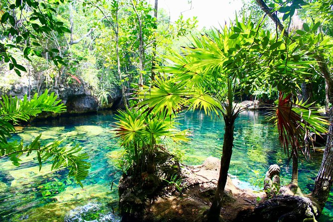 Tulaka Cenote Experience - Stop 2: Playa del Carmen for Fifth Avenue and Optional Beach Time