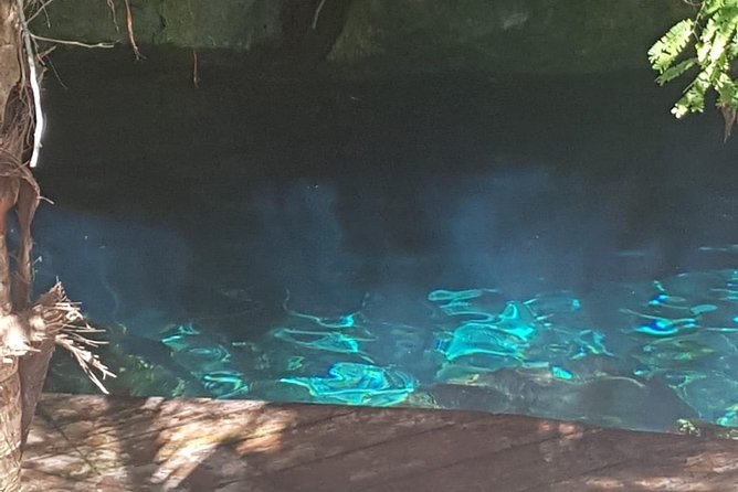 Tulaka Cenote Experience - The Group Vibe: Private Means More Control
