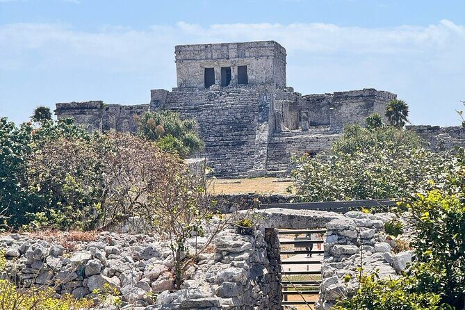 Tulum + 2 Cenotes & Authentic Taco Adventure - Key Highlights You’ll Actually Care About