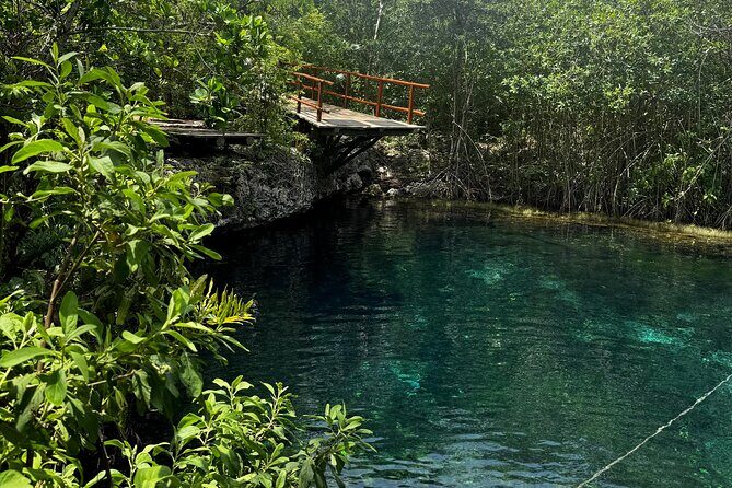 Tulum + 2 Cenotes & Authentic Taco Adventure - The Taco Adventure in Playa del Carmen: Local Food, Simple Meal Plan