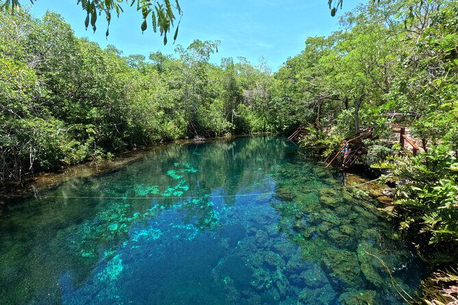 Tulum + 2 Cenotes & Authentic Taco Adventure - Price and Value at $260 Per Person