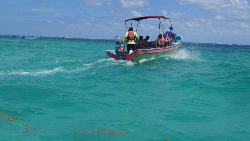 Tulum: 2 spot Reef Snorkel 1 hour 30 minutes - Snorkeling at the reef: what you’re likely to see