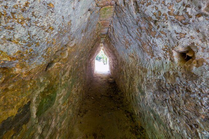 TULUM 4x1: Archaeological Zone, COBA, Cenote, 5th Avenue and lunch. - Guides and on-site explanation: when you’ll feel supported
