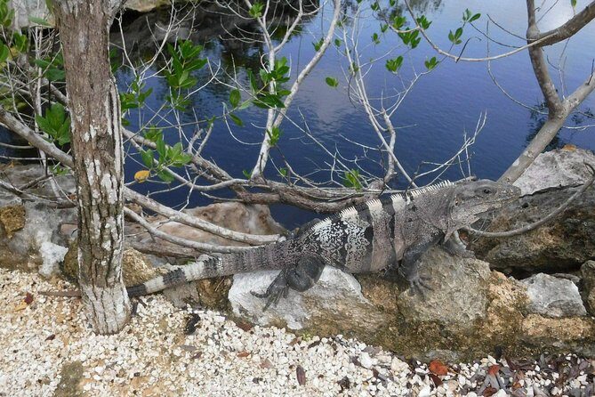 Tulum Adventure (Private, Full Day) - Beachside Tulum Ruins: What You’ll Really Get at Stop One
