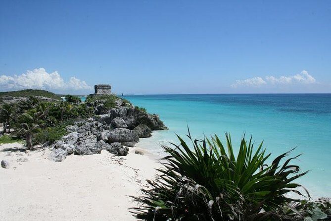 Tulum and Cenote Casa Tortuga Day Trip - What to Do During Your Free Time in Tulum