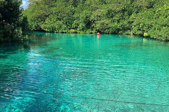 Tulum Area Experiences Guided 2 Tank Scuba Dive Casa Cenote & Barrier Reef-Lunch - Timing, pickup, and what a small group really changes