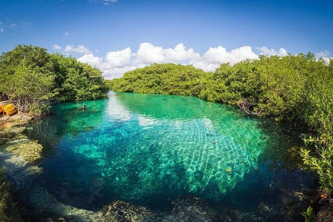 Tulum Area Experiences Guided 2 Tank Scuba Dive Casa Cenote & Barrier Reef-Lunch - Who should book this Casa Cenote + reef package?