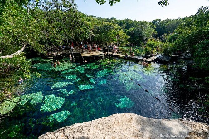 Tulum Area Experiences Guided E-Bike Tour- 3 Cenote's Snorkel/Swim & Local Lunch - After Cristal: the natural Cenote Cristal & Escondido stretch