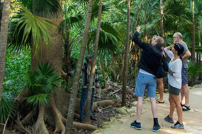 Tulum Bike Tour Tulum Maya Ruins Cenote Swimming Pueblo History Art Tacos Lunch - Cenote Crystal Swim: Cooling Off After Sun and Saddle Time