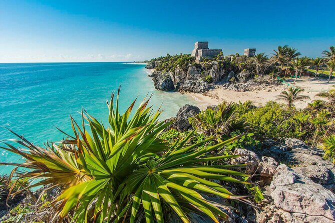 TULUM, CENOTE, MYSTIKA MUSEUM, TURTLES SNORKELING (Private) - Turtles Snorkeling: The Most Memorable Water Moment