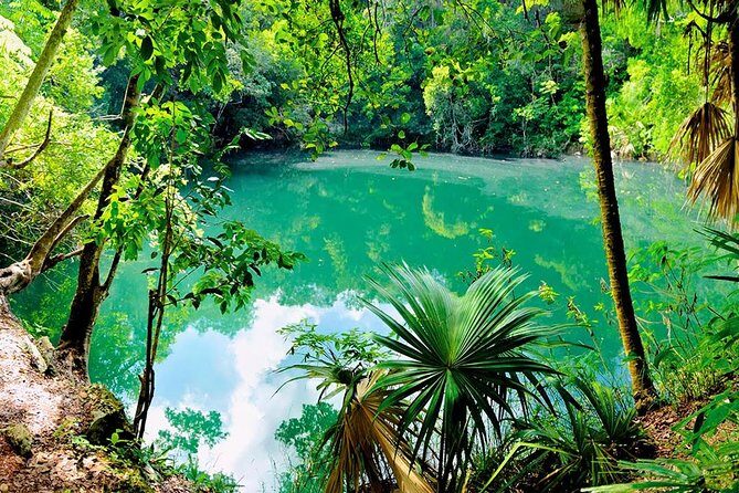 TULUM, CENOTE, MYSTIKA MUSEUM, TURTLES SNORKELING (Private) - What to Expect From Your Guide (And Why It Changes the Day)