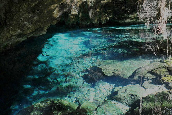 TULUM, CENOTE, MYSTIKA MUSEUM, TURTLES SNORKELING (Private) - Tips to Make the Day Feel Easy