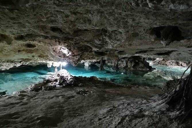 Tulum & Cenotes Private Tour - Timing for 4 to 8 hours: flexible means less rushing