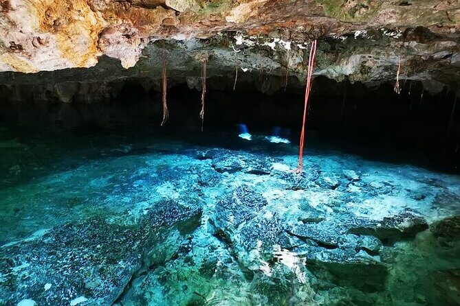 Tulum & Cenotes Private Tour - Private vs. group tours: why only your party matters here