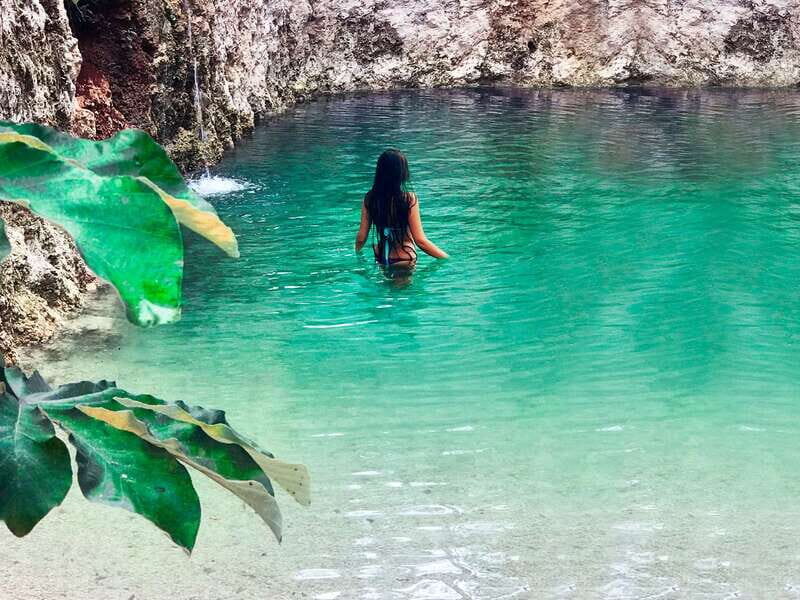 Tulum: Chocolate & Honey Sanctuary Experience with Lunch - Honey, stingless bees, and your honey soap workshop