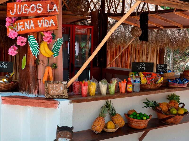 Tulum: Chocolate & Honey Sanctuary Experience with Lunch - Cenote swim in sacred water: what it feels like and how to prep