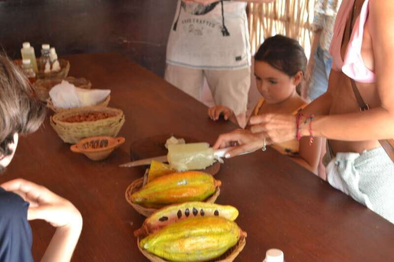 Tulum: Chocolate & Honey Sanctuary Experience with Lunch - Price, timing, and value of a 3-hour cacao-and-honey day