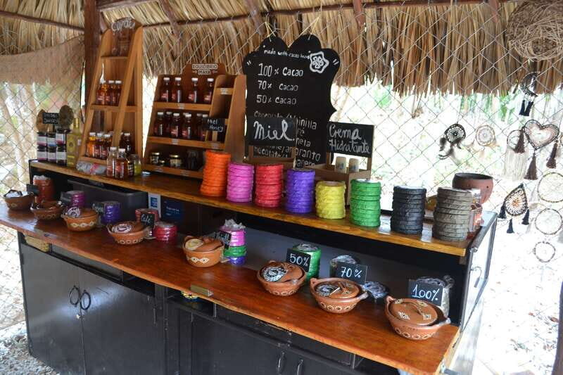 Tulum: Chocolate & Honey Sanctuary Experience with Lunch - Who should book this tour in Tulum