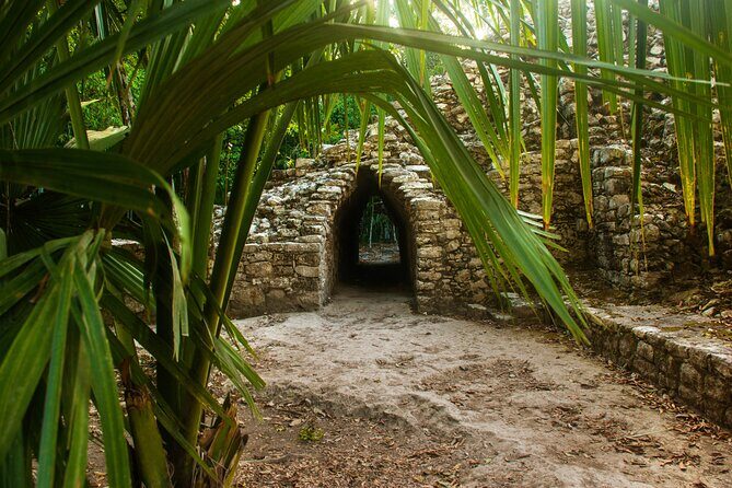 Tulum, Coba & Cenote All-Inclusive Tour - Playa del Carmen’s Fifth Avenue Walk: Short, Fun, and Easy