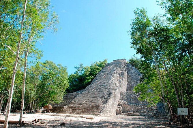 Tulum, Coba, Cenote & Playa Del Carmen! Full Mayan Experience - Stop 4: Playa del Carmen and 5th Avenue shopping time