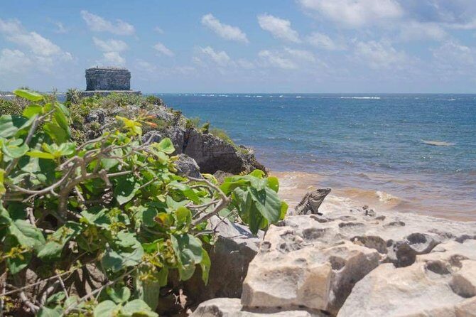 Tulum & Coba Private Tour - Who should book this private tour (and who might not love it)