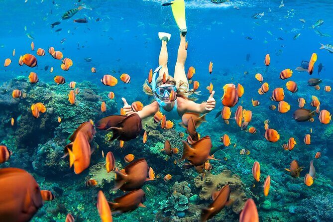 Tulum Day Trip: Pyramids + Reef Snorkel & Cenote Swim - Stop 2: Playa Maya reef snorkeling and ruins from the water