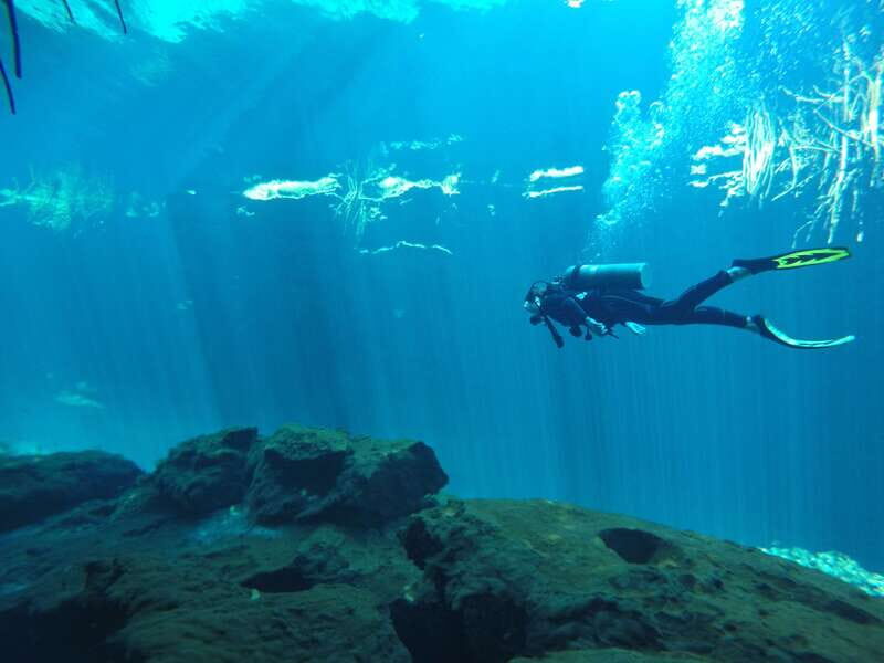 Tulum: Discover Scuba Diving in Cenotes - Key things you’ll notice on this cenote scuba session