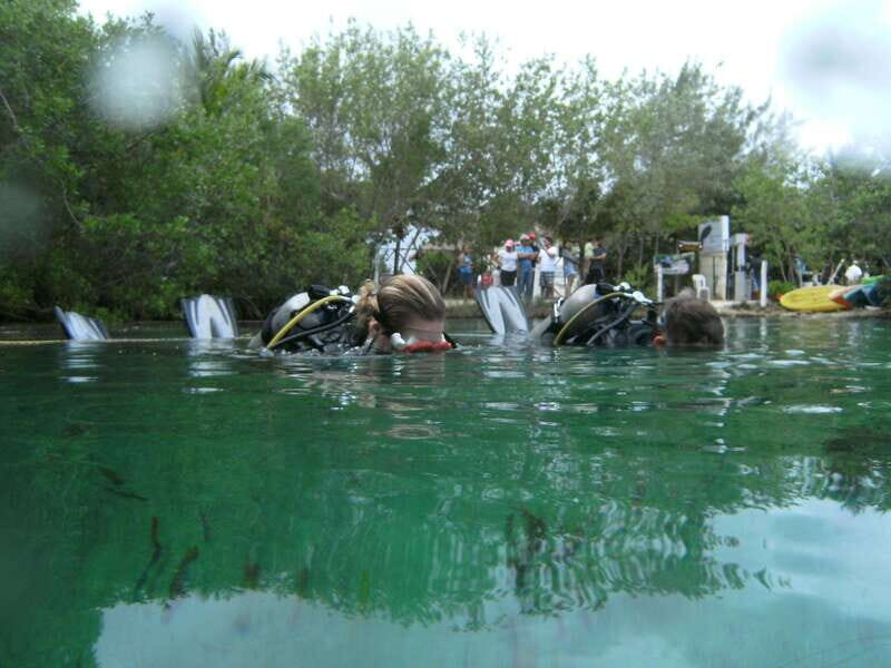Tulum: Discover Scuba Diving in Cenotes - A first-timer setup that makes sense in a real cenote lagoon