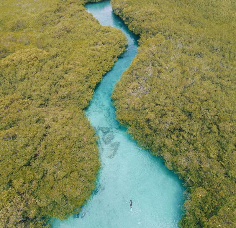 Tulum: Discover Scuba Diving in Cenotes - Instructors and small groups: why this feels calm instead of rushed