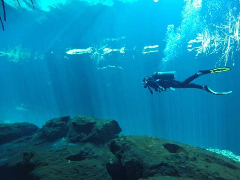 Tulum: Discover Scuba Diving in Cenotes - Price and value: what $180 covers, plus the cenote entrance fee