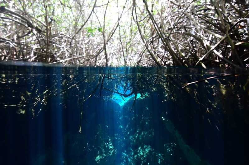 Tulum: Discover Scuba Diving in Cenotes - Where to meet near Hotel Zamas (and how to reduce stress)