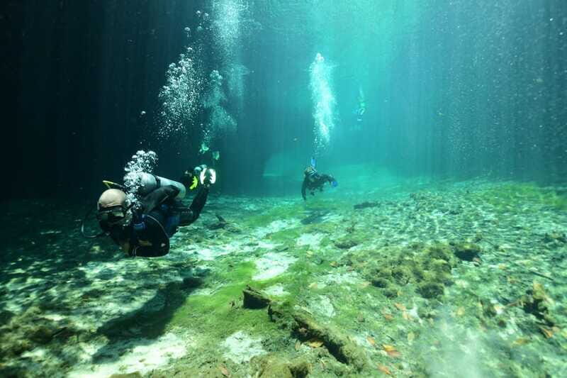 Tulum: Discover Scuba Diving in Cenotes - Who should book this cenote scuba experience?