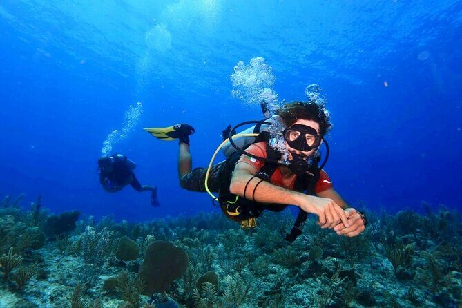 Tulum Diving (Reef) 2 Tanks - Key things to know before you go