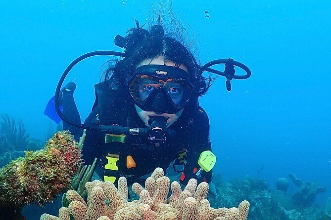 Tulum Diving (Reef) 2 Tanks - Meeting at Mexidivers Tulum: Easy Start, Clear Time