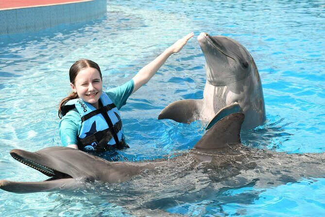 Tulum & Dolphin Connection from Cancun - Price and value: is $149.99 per person a fair deal?